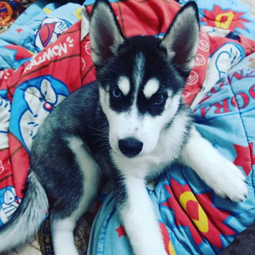 สมาชิกหมายเลข 6078669