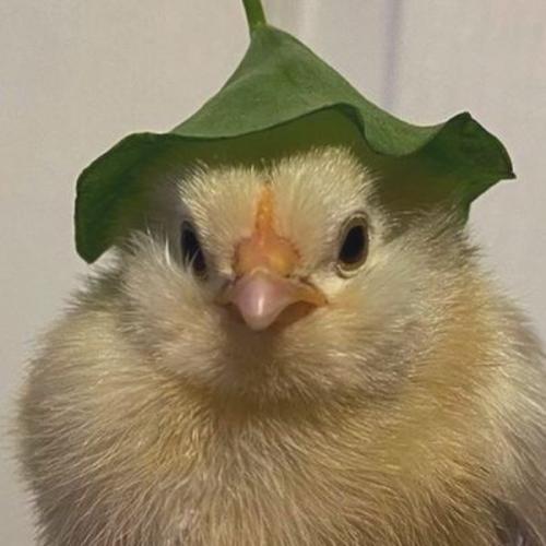 สมาชิกหมายเลข 6325060