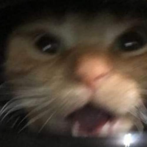 สมาชิกหมายเลข 7540328