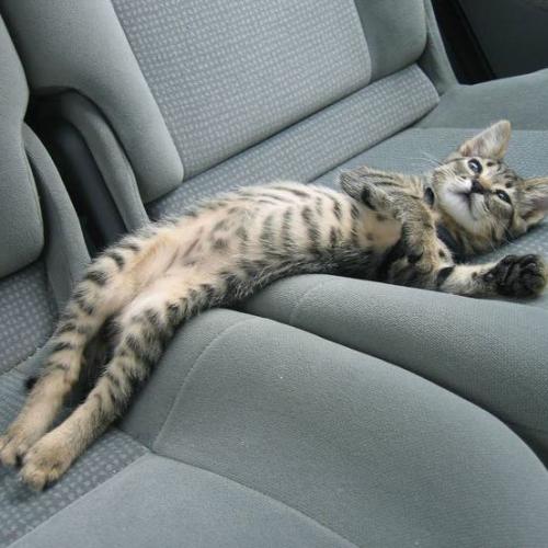 สมาชิกหมายเลข 3459435