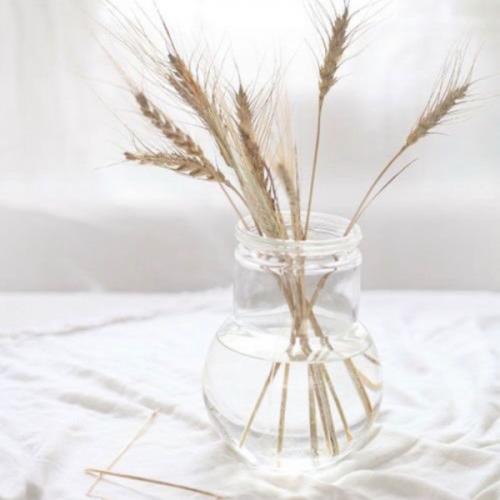 สมาชิกหมายเลข 1971257