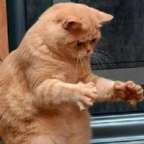 สมาชิกหมายเลข 4467395