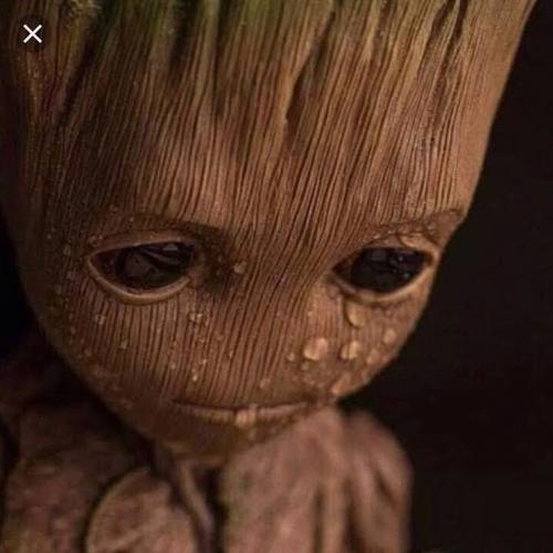 สมาชิกหมายเลข 5048485