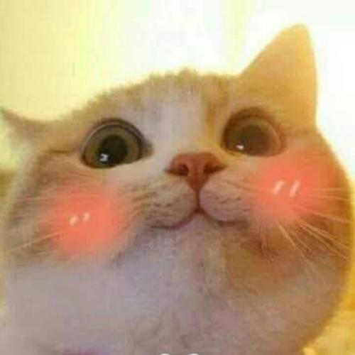 สมาชิกหมายเลข 5353641