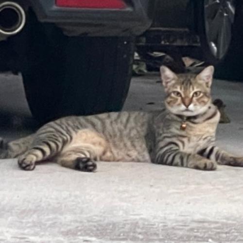 สมาชิกหมายเลข 5935541