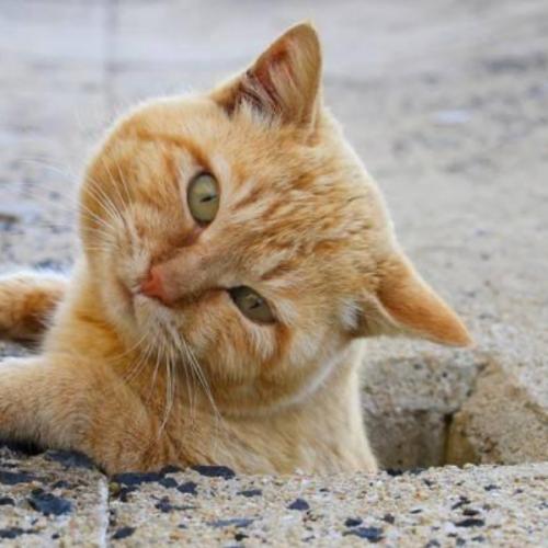 สมาชิกหมายเลข 6690125