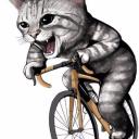 สมาชิกหมายเลข 1377230