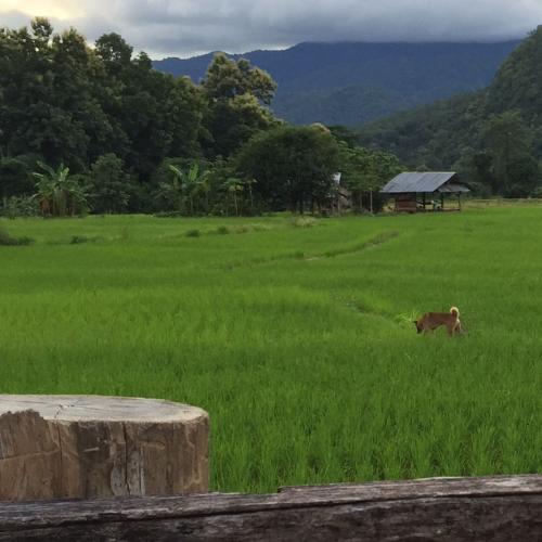 สมาชิกหมายเลข 3121660