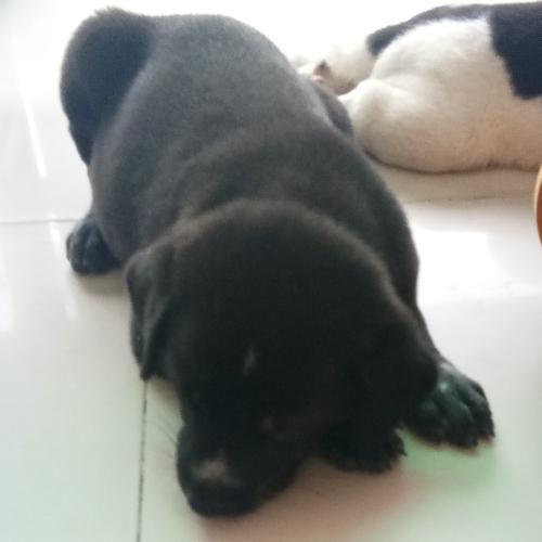 สมาชิกหมายเลข 4733974