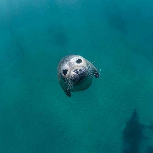 สมาชิกหมายเลข 4747784