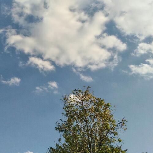 สมาชิกหมายเลข 5127682