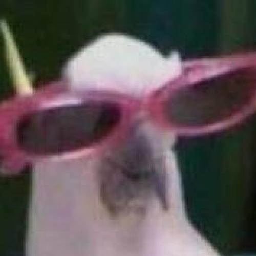 สมาชิกหมายเลข 5007752