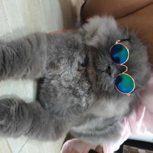 สมาชิกหมายเลข 842363