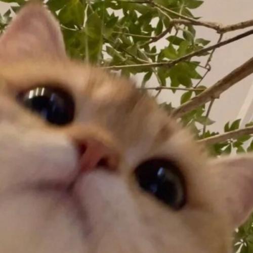 สมาชิกหมายเลข 3094066