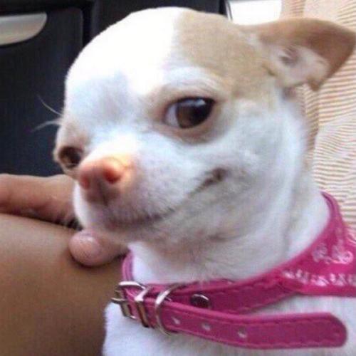 สมาชิกหมายเลข 3184510