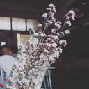 สมาชิกหมายเลข 4395845