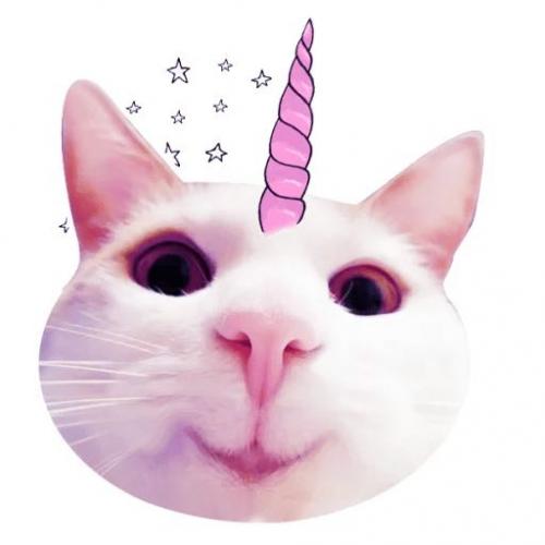 สมาชิกหมายเลข 2982300