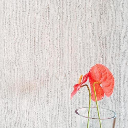 สมาชิกหมายเลข 1188140