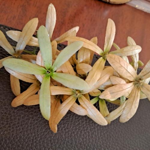 สมาชิกหมายเลข 6915150