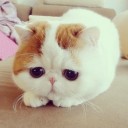 สมาชิกหมายเลข 1922939