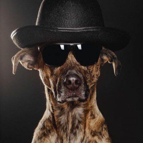 สมาชิกหมายเลข 4397203