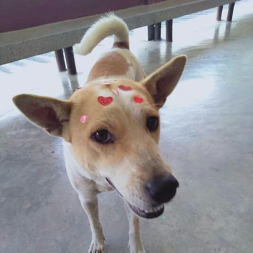 สมาชิกหมายเลข 5120850