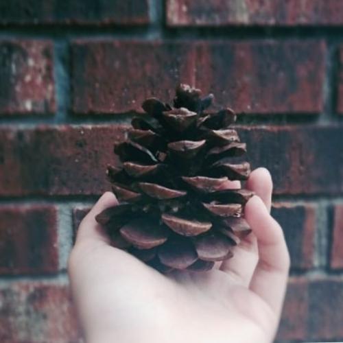 สมาชิกหมายเลข 4349379