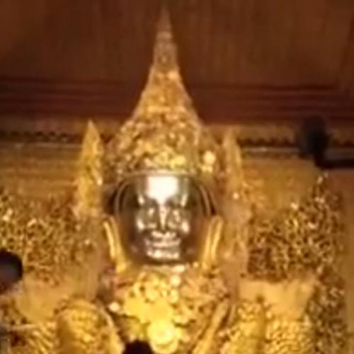 สมาชิกหมายเลข 3259170