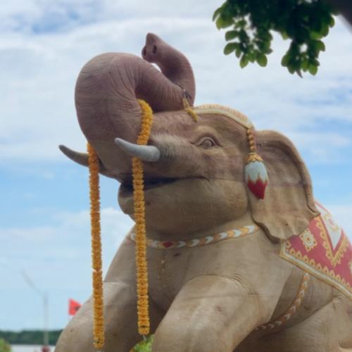 สมาชิกหมายเลข 4794699