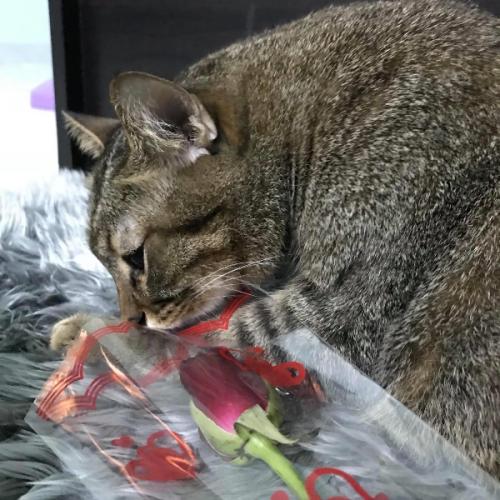 สมาชิกหมายเลข 6072342