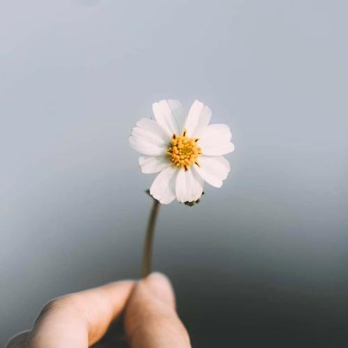 สมาชิกหมายเลข 6072796