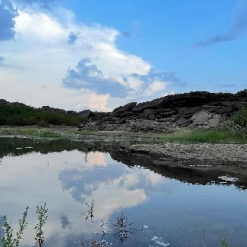 สมาชิกหมายเลข 6692207