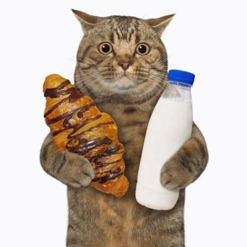 สมาชิกหมายเลข 6030275