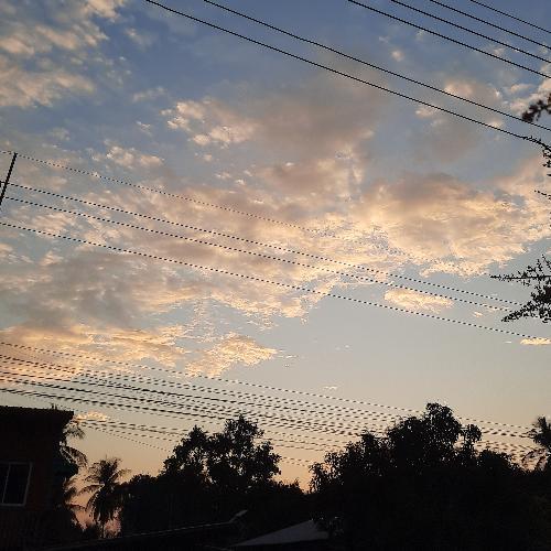 สมาชิกหมายเลข 6267833