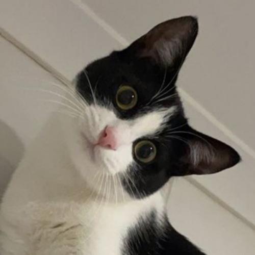 สมาชิกหมายเลข 7444282