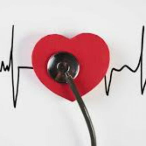 สมาชิกหมายเลข 7444407