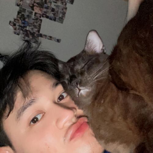 สมาชิกหมายเลข 7444594