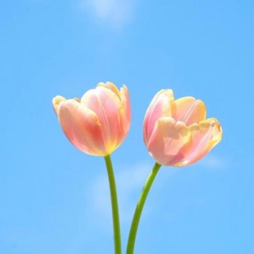 สมาชิกหมายเลข 7301543