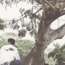 สมาชิกหมายเลข 2551855