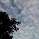 สมาชิกหมายเลข 3922951