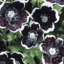 สมาชิกหมายเลข 4397685