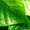 สมาชิกหมายเลข 4397799