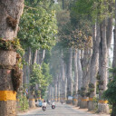 สมาชิกหมายเลข 1333134