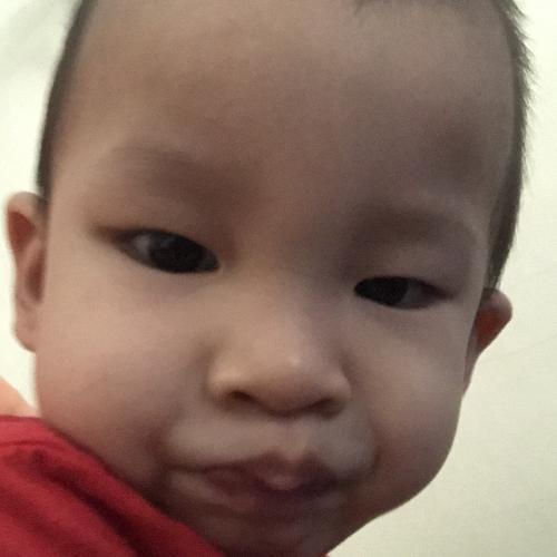 สมาชิกหมายเลข 4753221