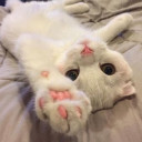 สมาชิกหมายเลข 5128576