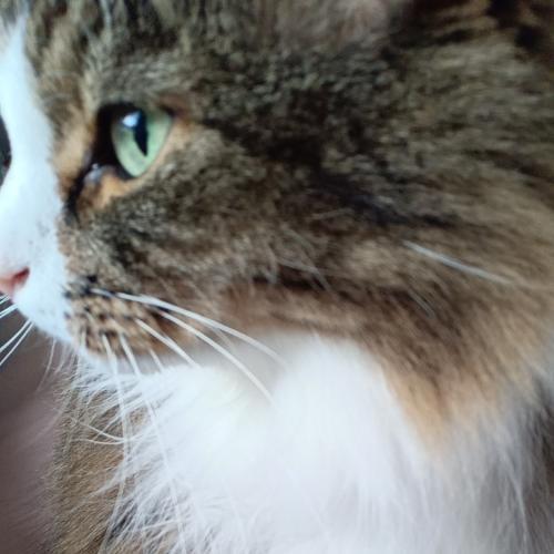 สมาชิกหมายเลข 5523645