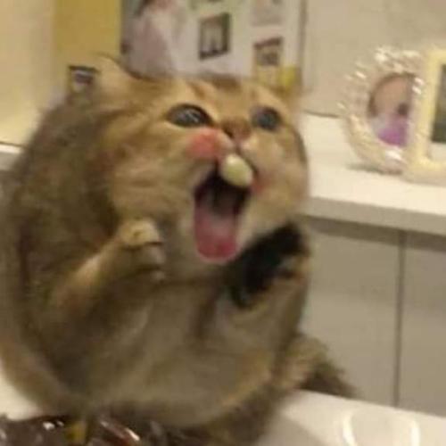 สมาชิกหมายเลข 5791182