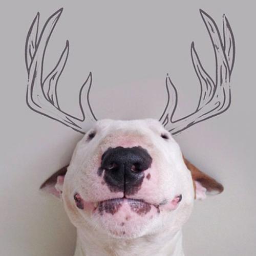 สมาชิกหมายเลข 6073174