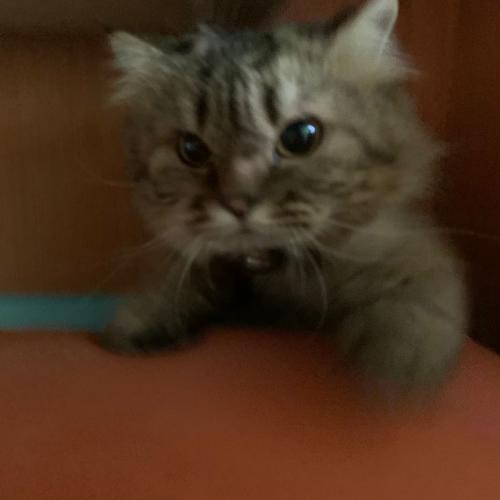 สมาชิกหมายเลข 6073272