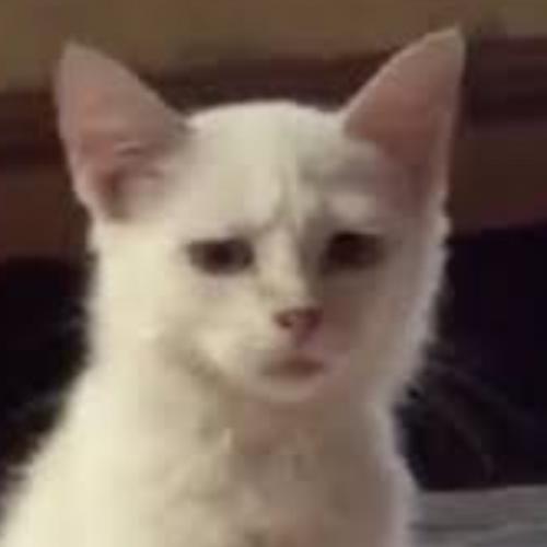 สมาชิกหมายเลข 1246693